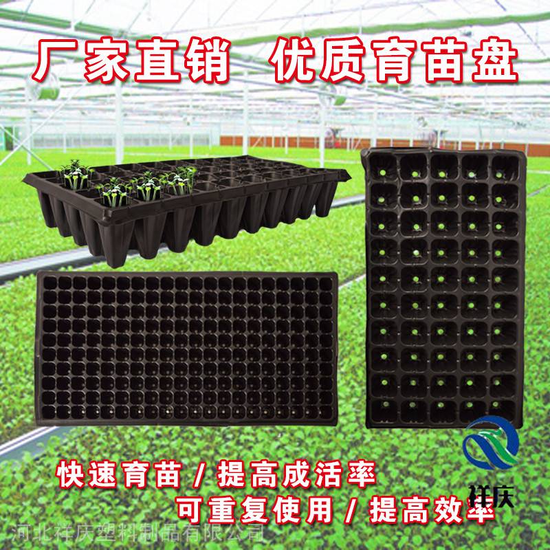 解密穴盤 育苗盤的選擇與河北祥慶塑料制品的優(yōu)勢(shì)