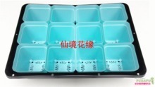 芽菜盆與育苗盤選購(gòu)全攻略 最新產(chǎn)品參考與實(shí)用指南